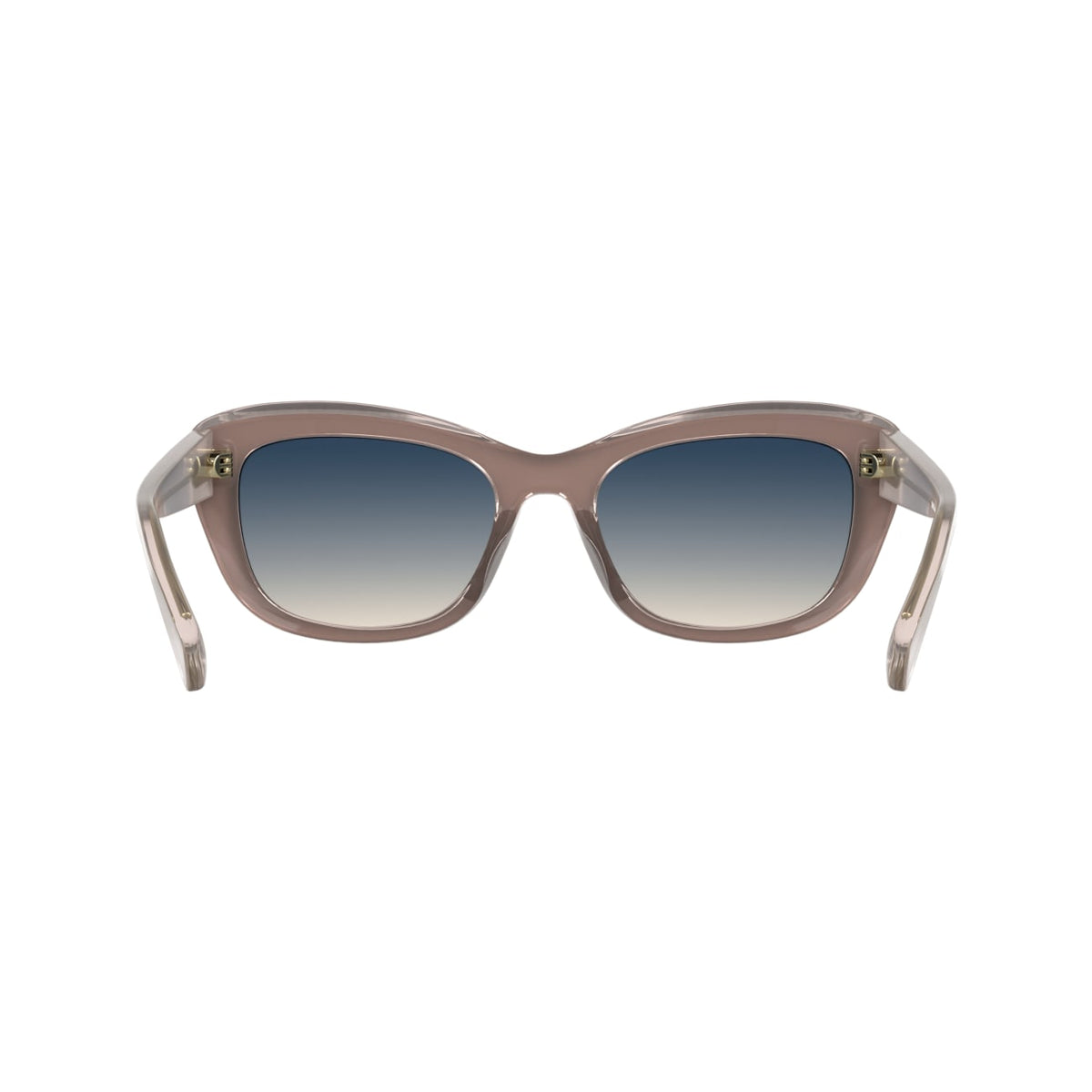 Gafas de Sol Longchamp LO817S 682 53 19