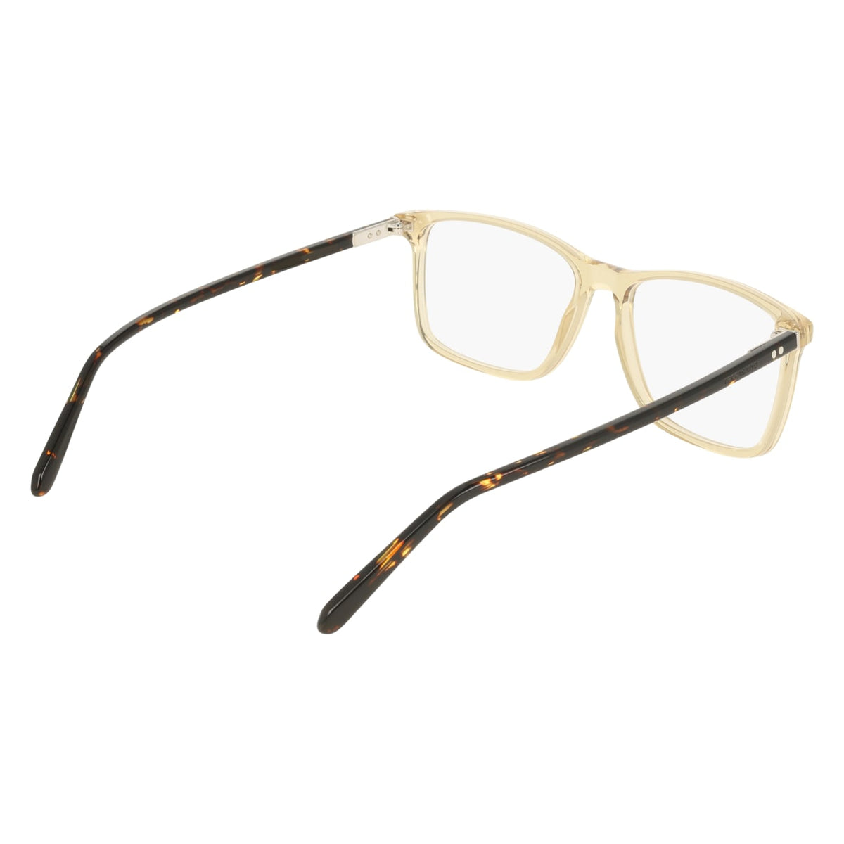 Gafas Graduadas Ferragamo SF3080 259 57 16