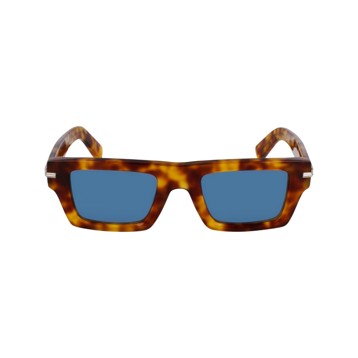 Sunglasses Ferragamo SF2034S 212 50 22