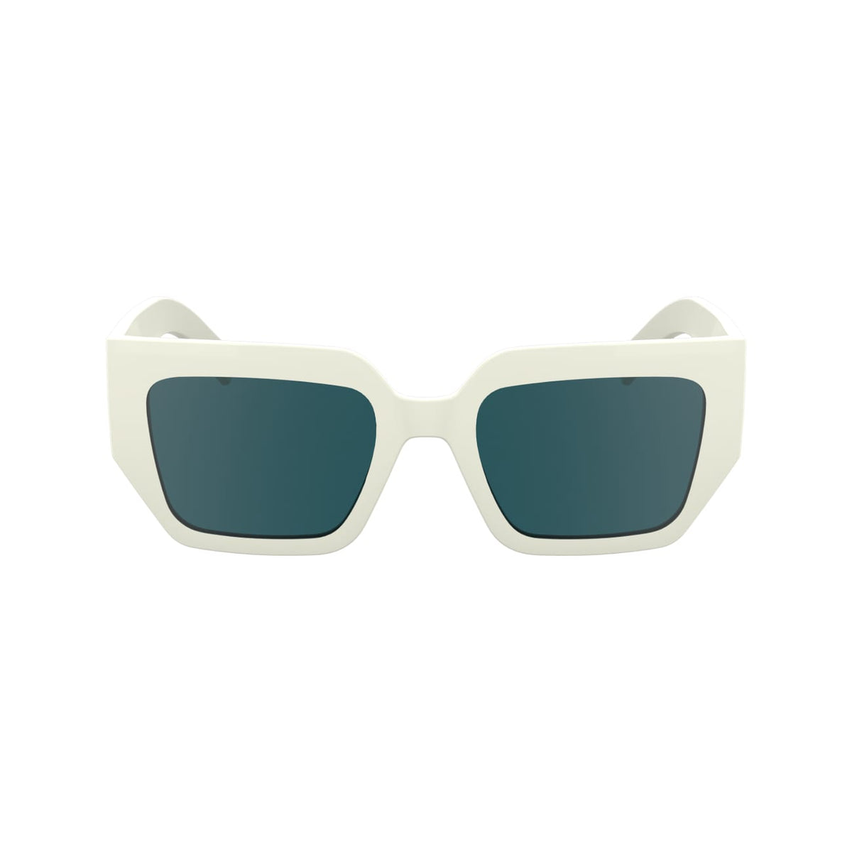 Gafas de Sol Karl Lagerfeld KL6166S 105 53 20
