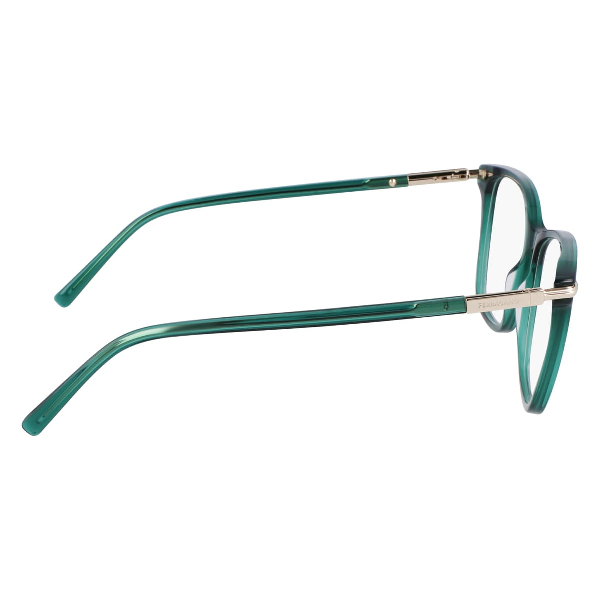 Prescription Glasses Ferragamo SF3013 317 55 15