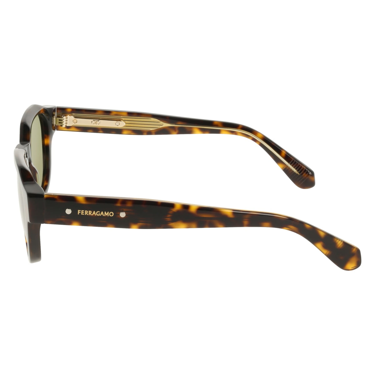 Gafas de Sol Ferragamo SF2146S 242 49 23