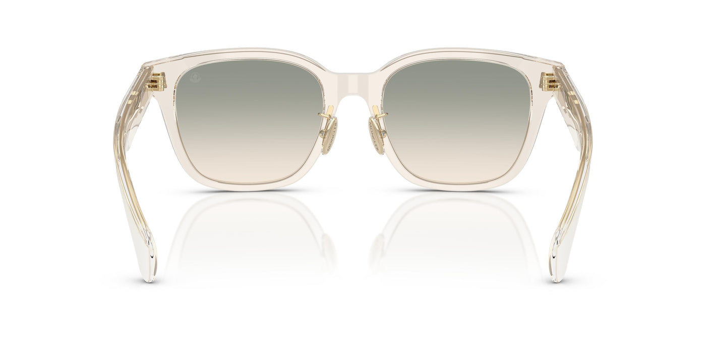 Sunglasses Moncler METROPE ME6002D 30032C 54 20