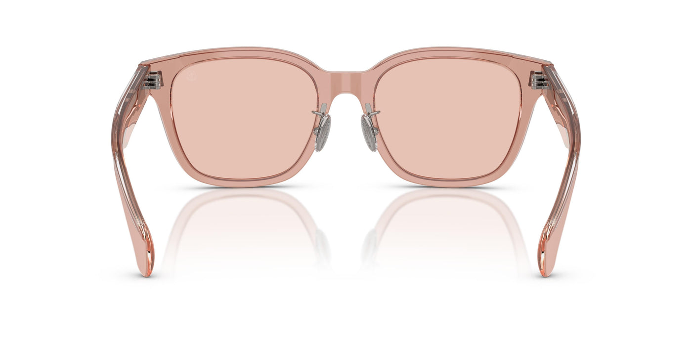 Sunglasses Moncler METROPE ME6002D 300884 54 20