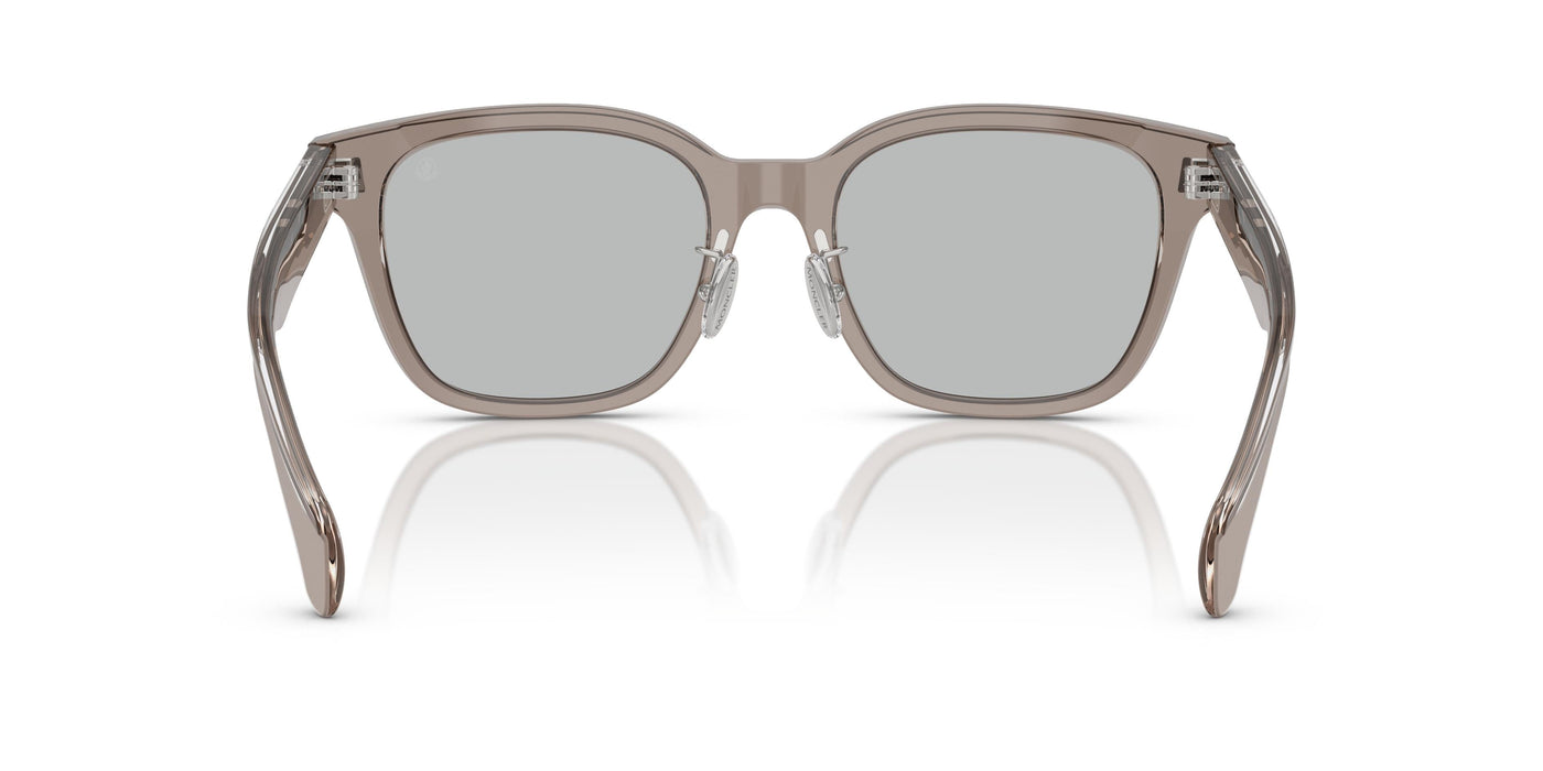 Sunglasses Moncler METROPE ME6002D 300987 54 20