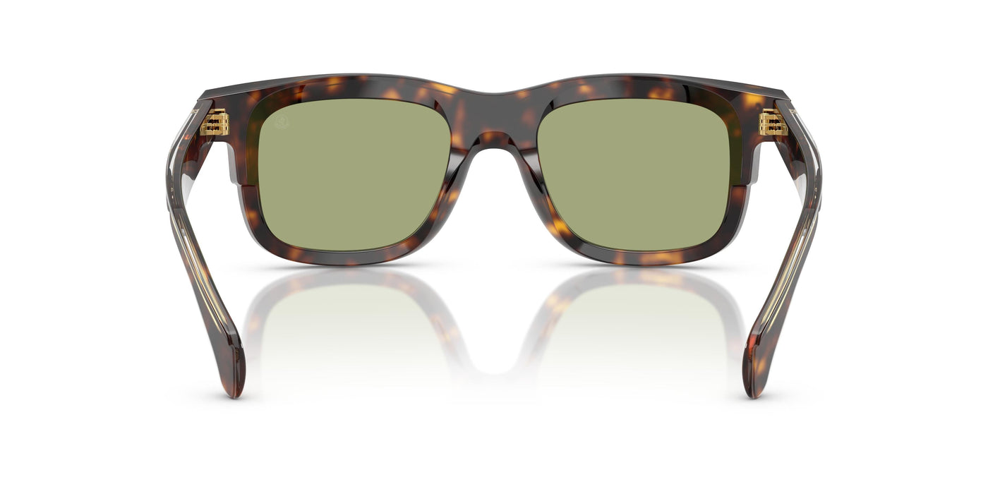 Sunglasses Moncler CLARO ME6004 300282 51 21
