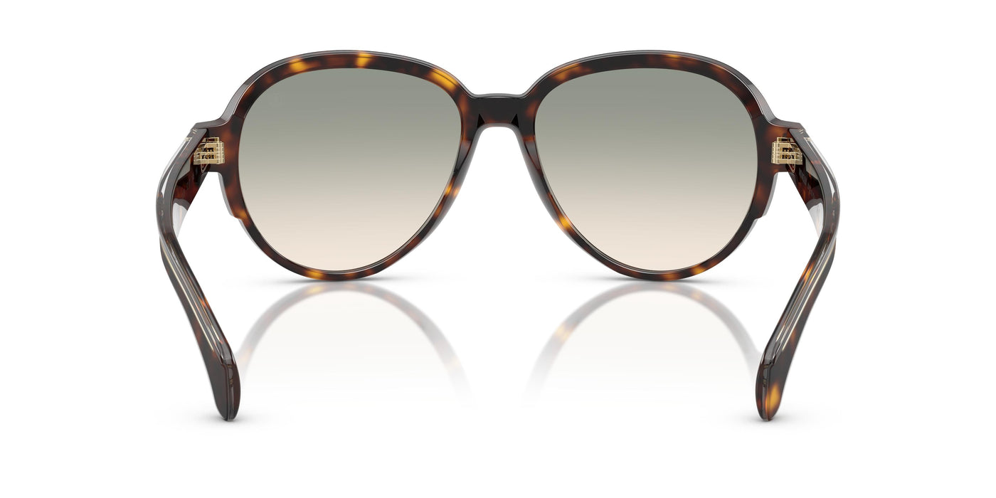 Sunglasses Moncler SWANSPAN ME6005 30022A 57 17