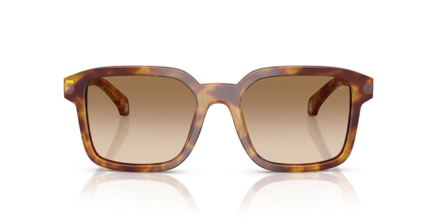 Sunglasses Moncler QUADERNA ME6006 301189 53 19
