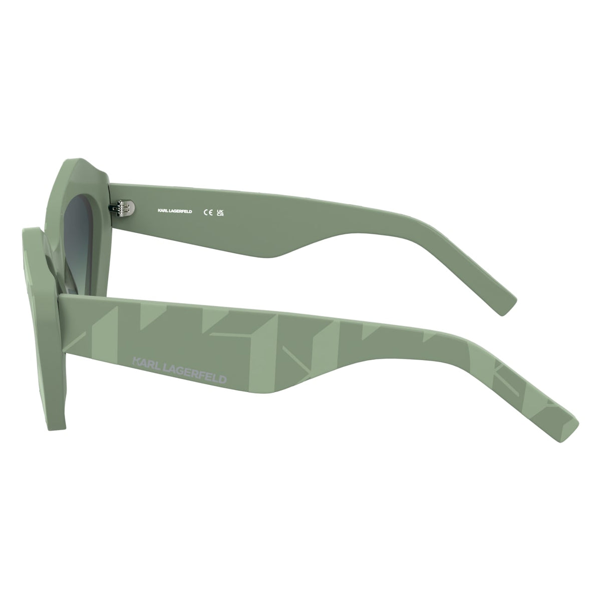 Gafas de Sol Karl Lagerfeld KL6199S 316 53 21