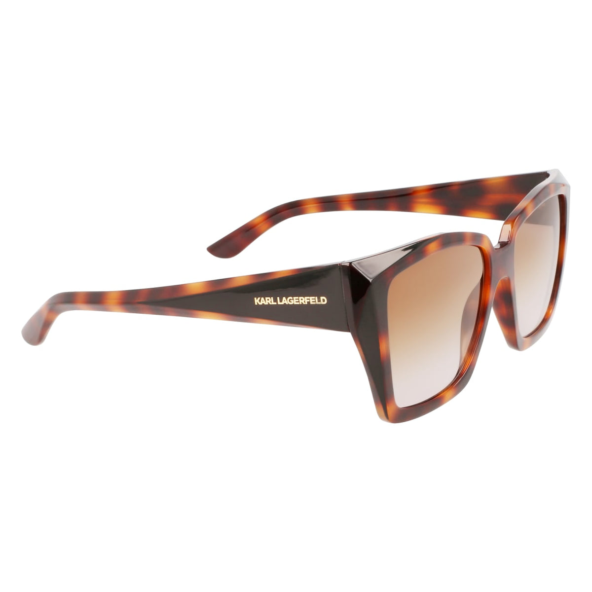 Gafas de Sol Karl Lagerfeld KL6072S 240 55 16