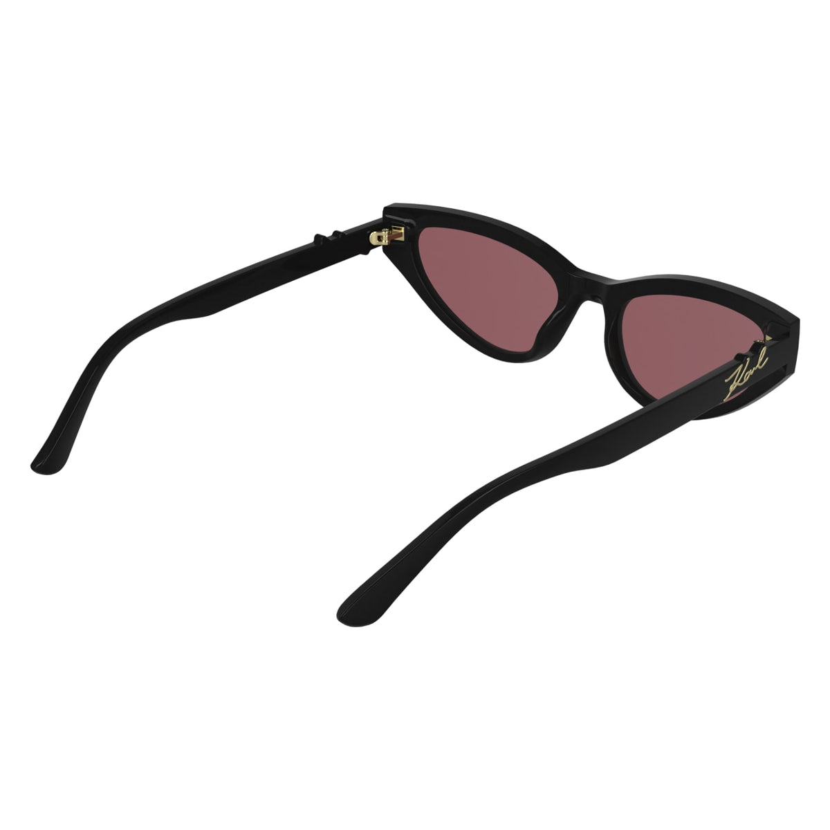 Gafas de Sol Karl Lagerfeld KL6248S 001 54 19