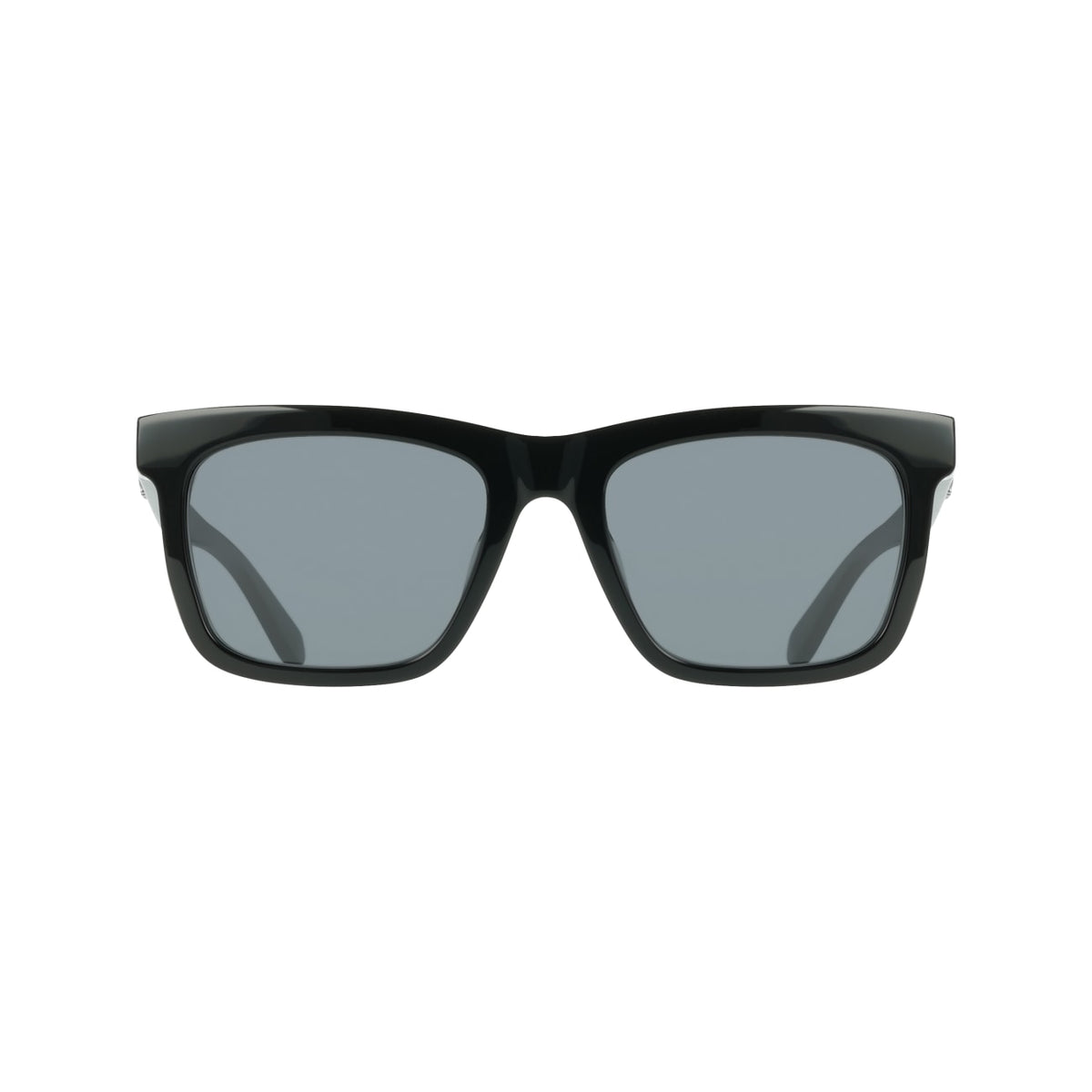 Sunglasses Ferragamo SF2113S 001 55 19