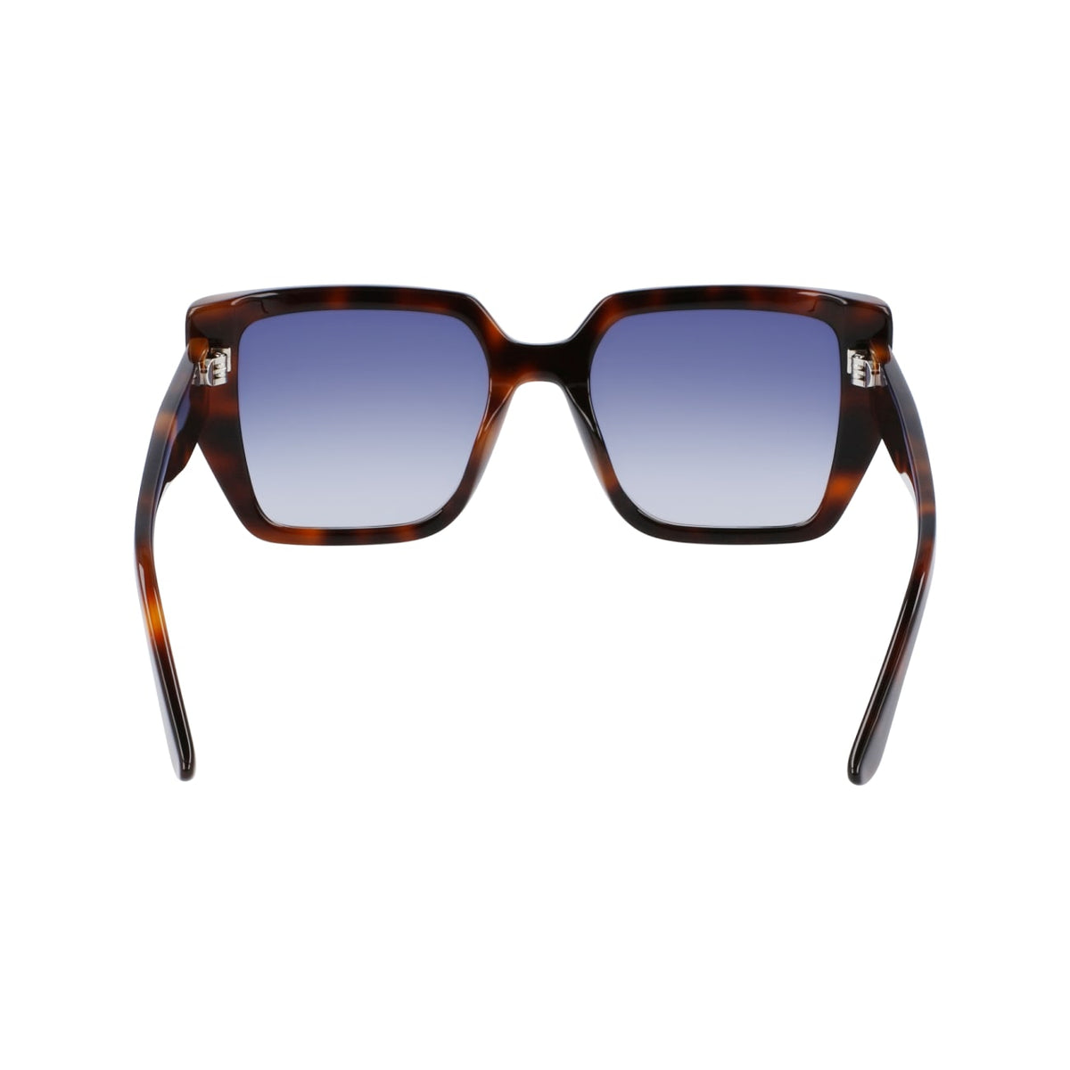 Gafas de Sol Karl Lagerfeld KL6036S 215 52 19