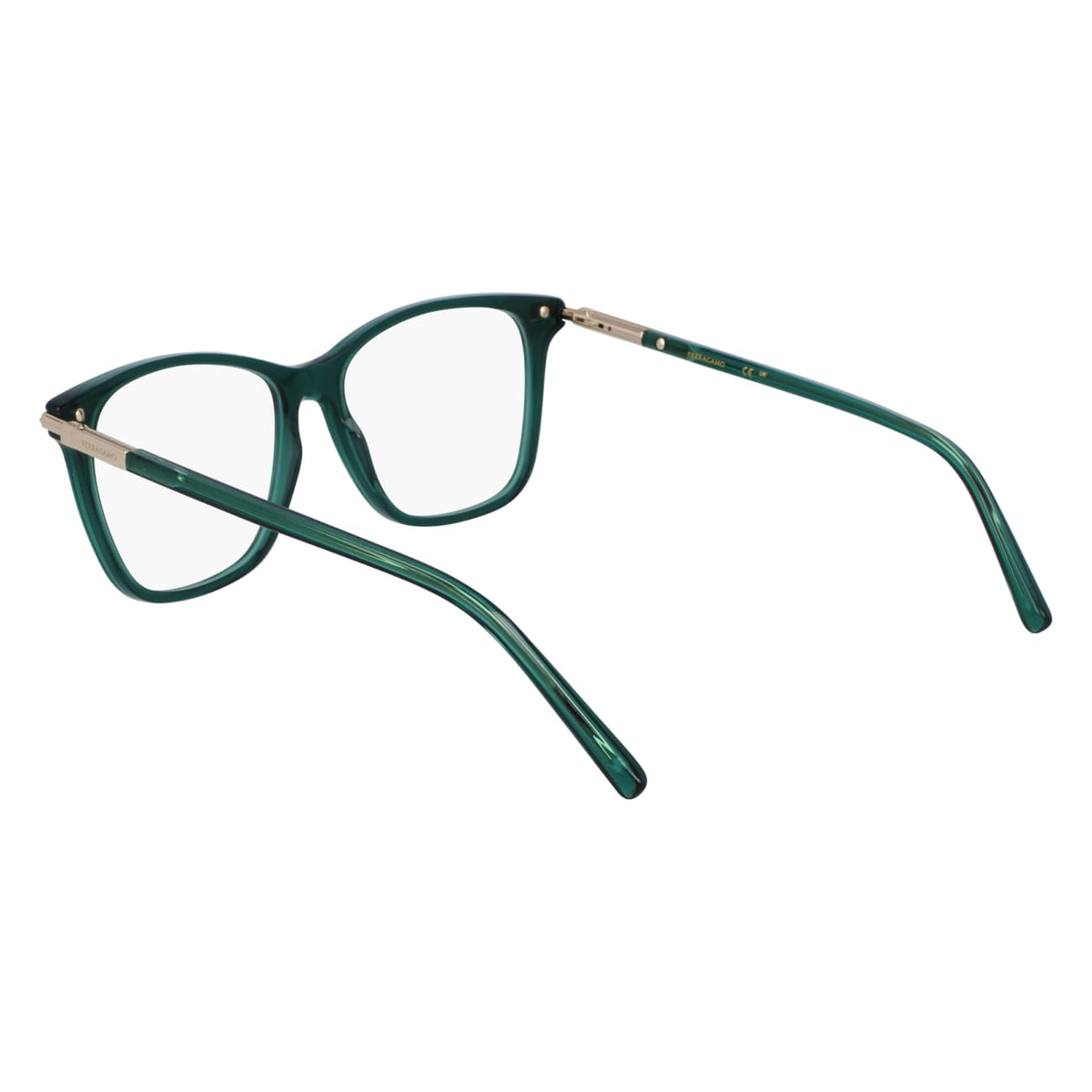 Prescription Glasses Ferragamo SF3013 317 55 15