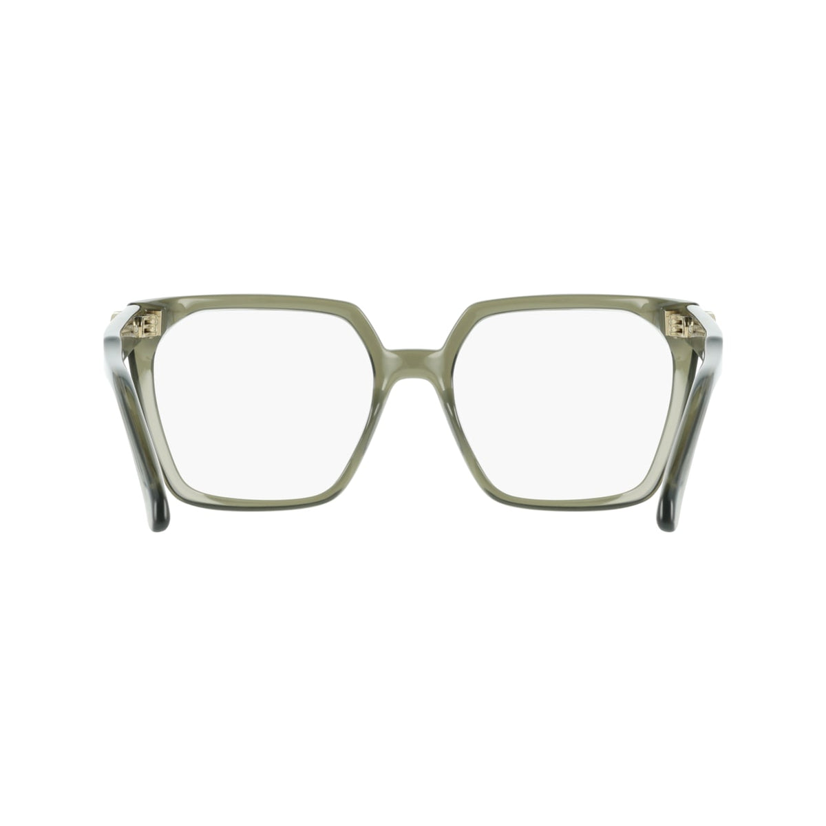 Prescription Glasses Ferragamo SF3042E 320 55 18