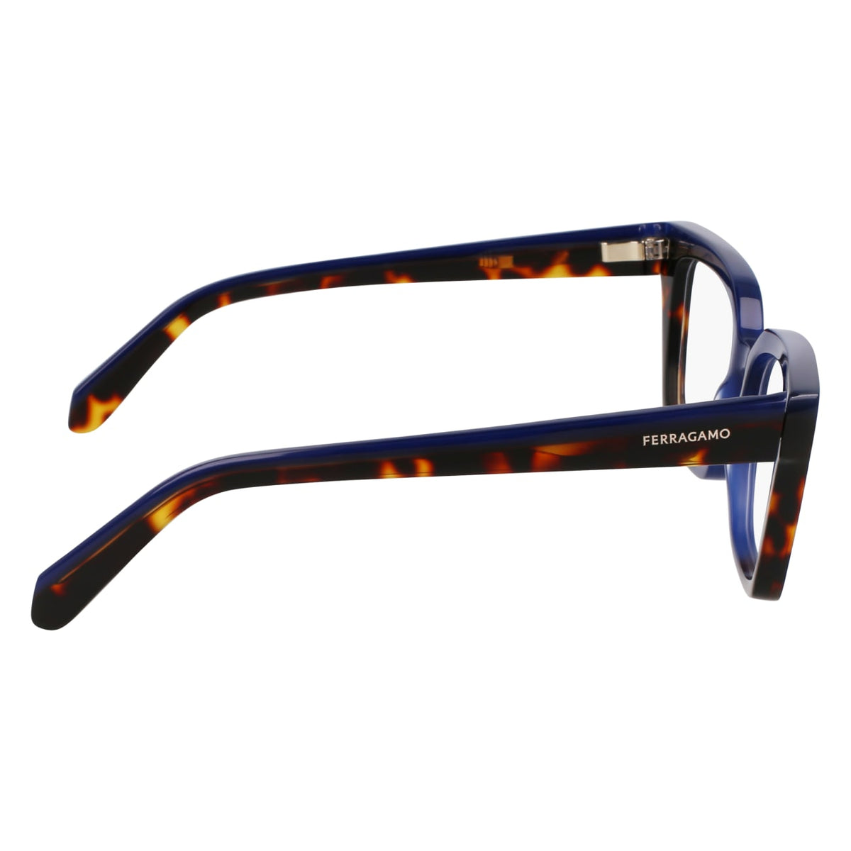 Gafas Graduadas Ferragamo SF3010 424 52 19