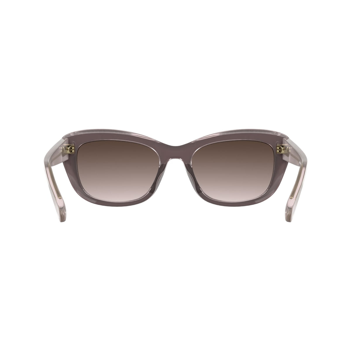 Gafas de Sol Longchamp LO817S 623 53 19