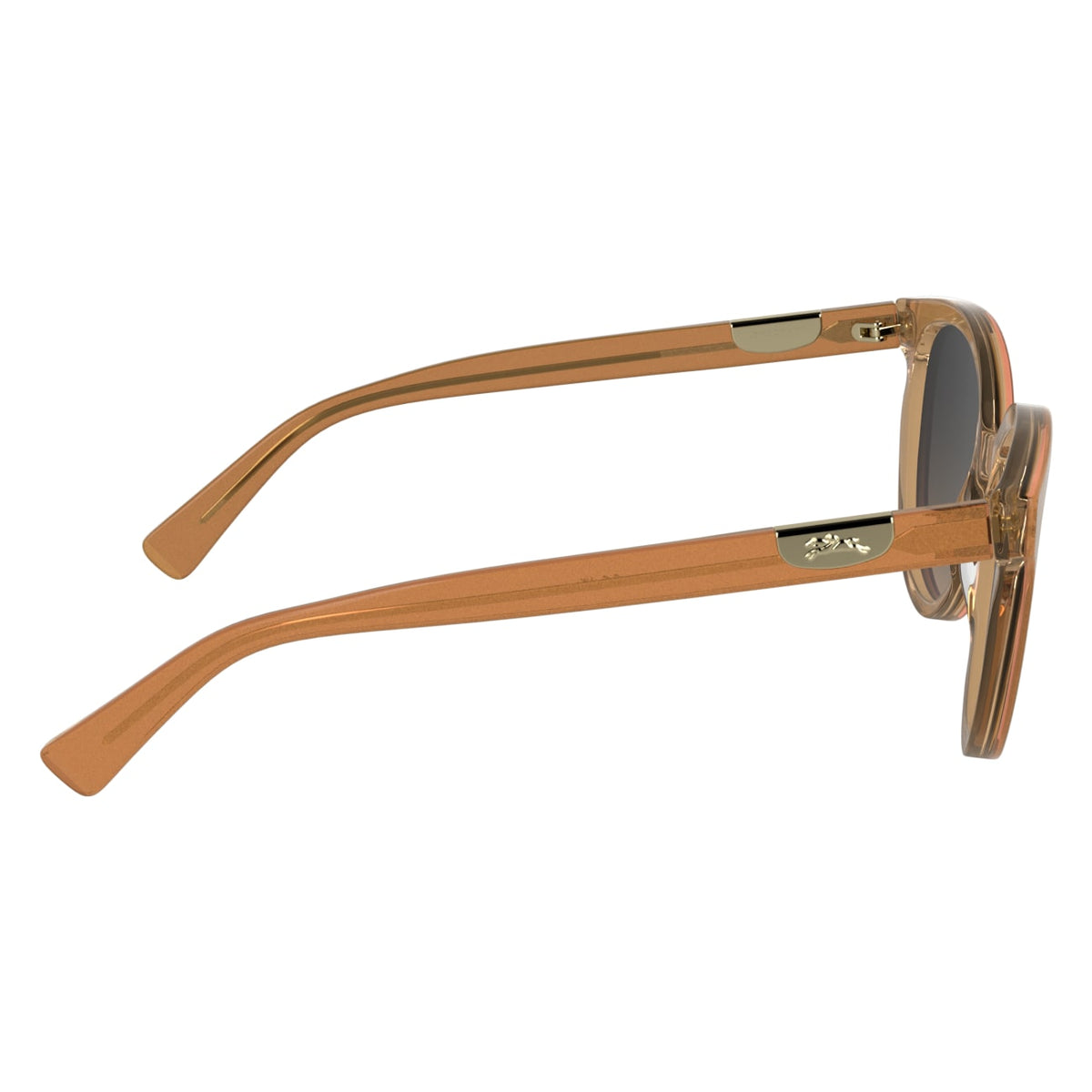 Gafas de Sol Longchamp LO773S 845 52 19