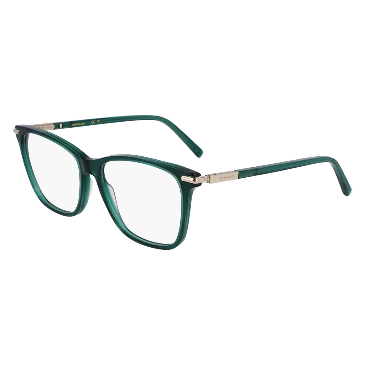 Prescription Glasses Ferragamo SF3013 317 55 15