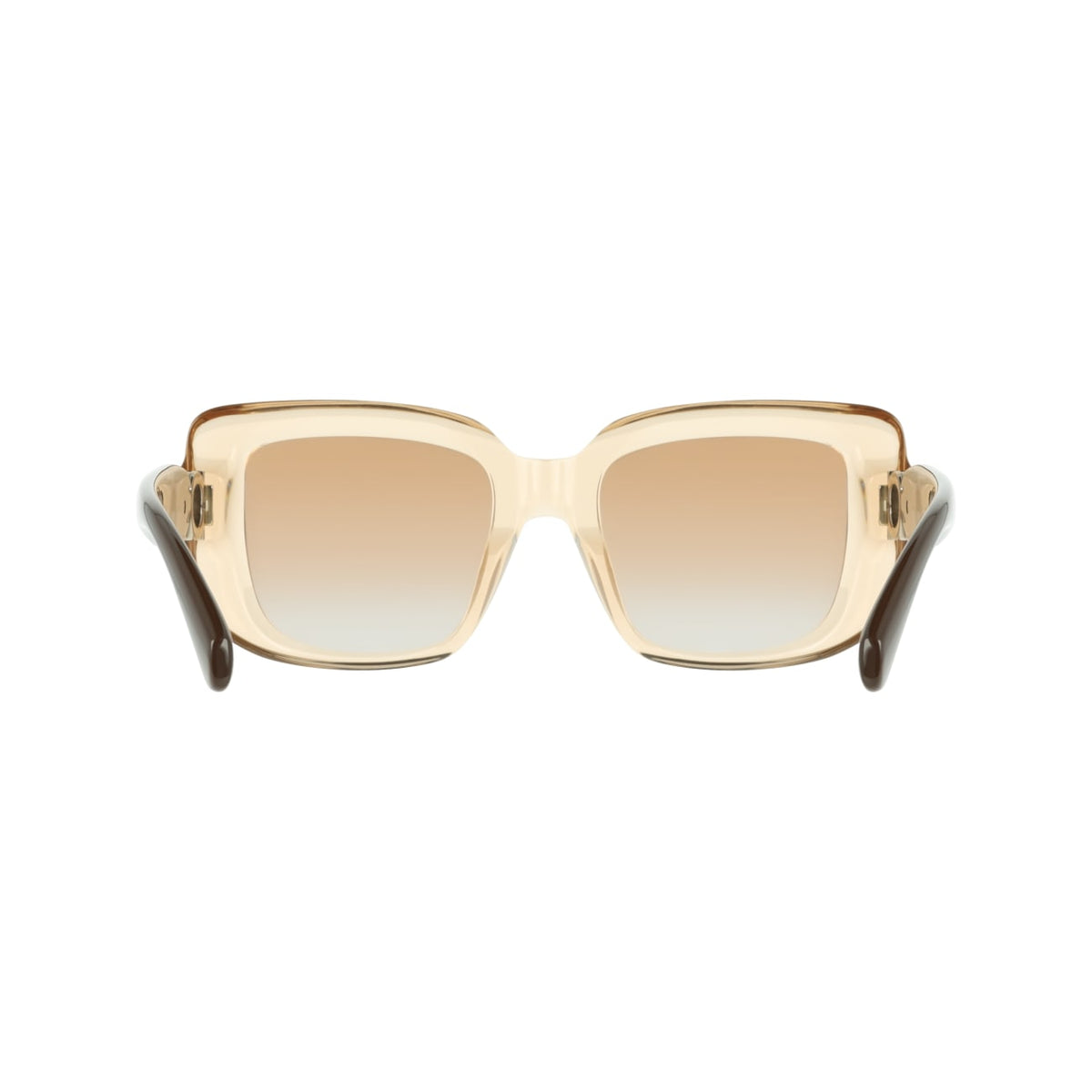 Sunglasses Ferragamo SF2117S 213 52 21