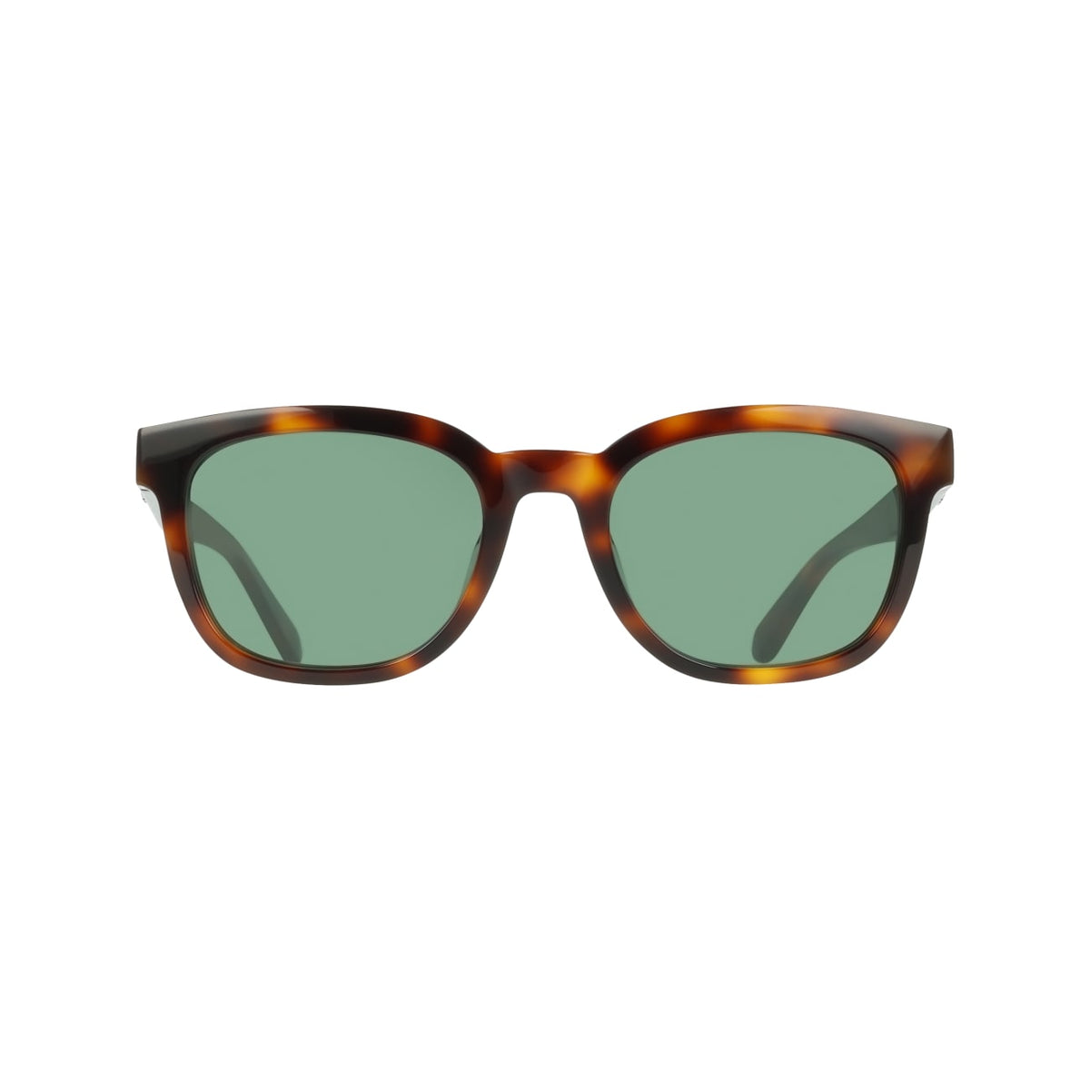 Sunglasses Ferragamo SF2107S 240 54 21