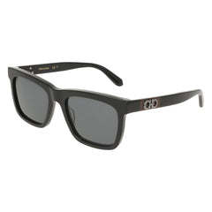 Sunglasses Ferragamo SF2113S 001 55 19