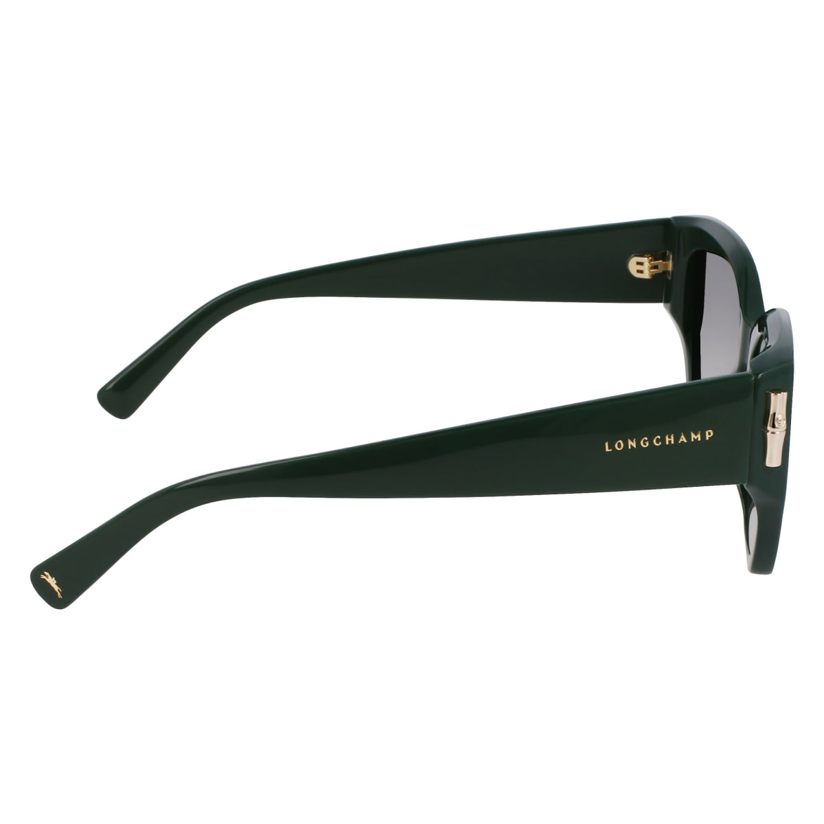 Sunglasses Longchamp LO764S 303 51 17