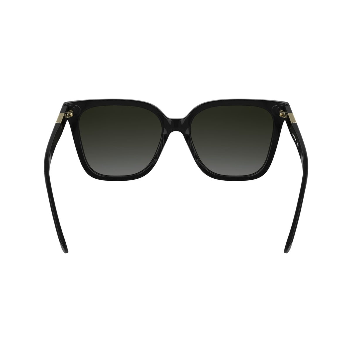 Sunglasses Longchamp LO772S 001 55 17