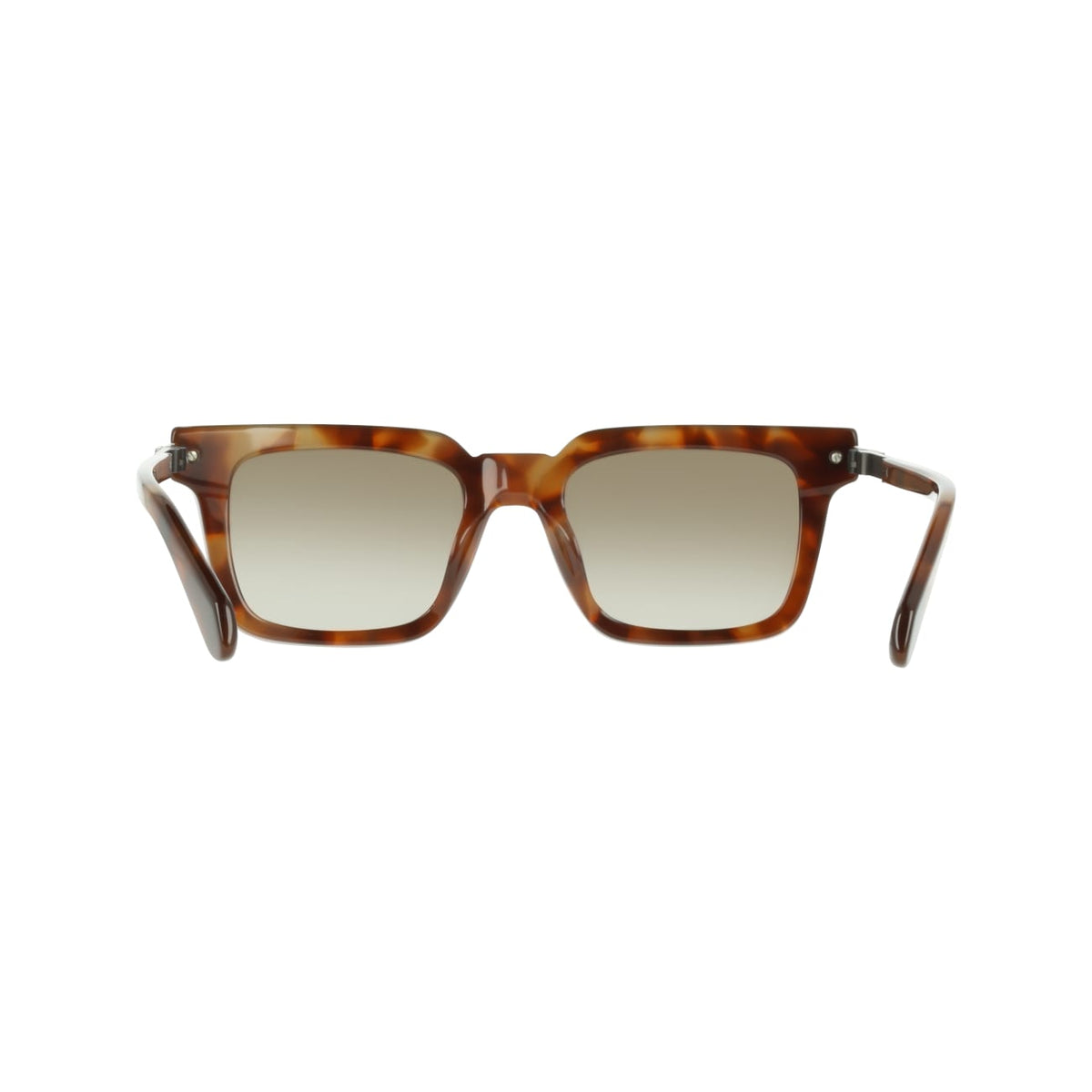 Sunglasses Ferragamo SF2103S 225 53 21