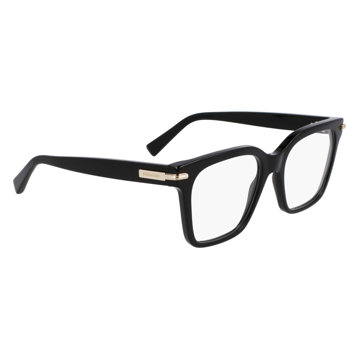Gafas Graduadas Ferragamo SF3009 001 52 18
