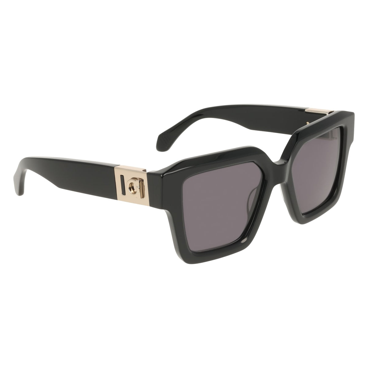 Sunglasses Ferragamo SF2084S 001 53 19