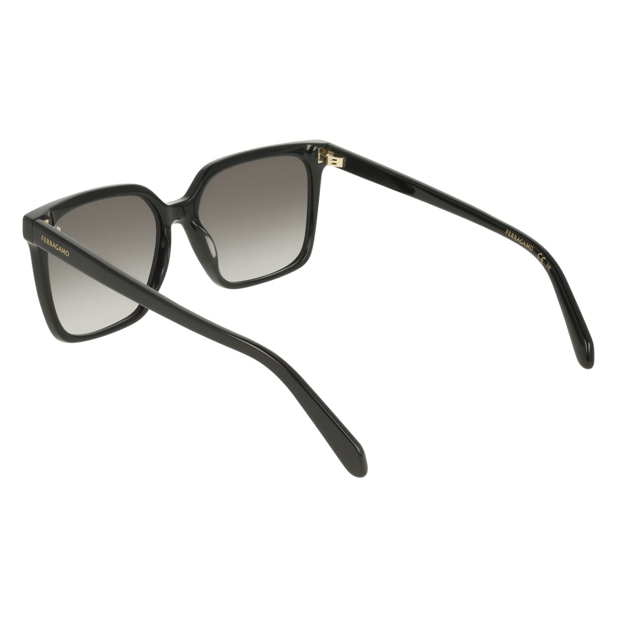 Gafas de Sol Ferragamo SF2102S 001 57 16