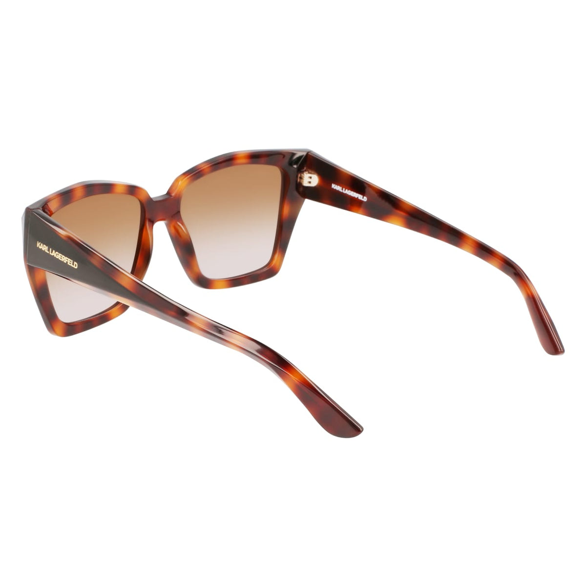 Gafas de Sol Karl Lagerfeld KL6072S 240 55 16