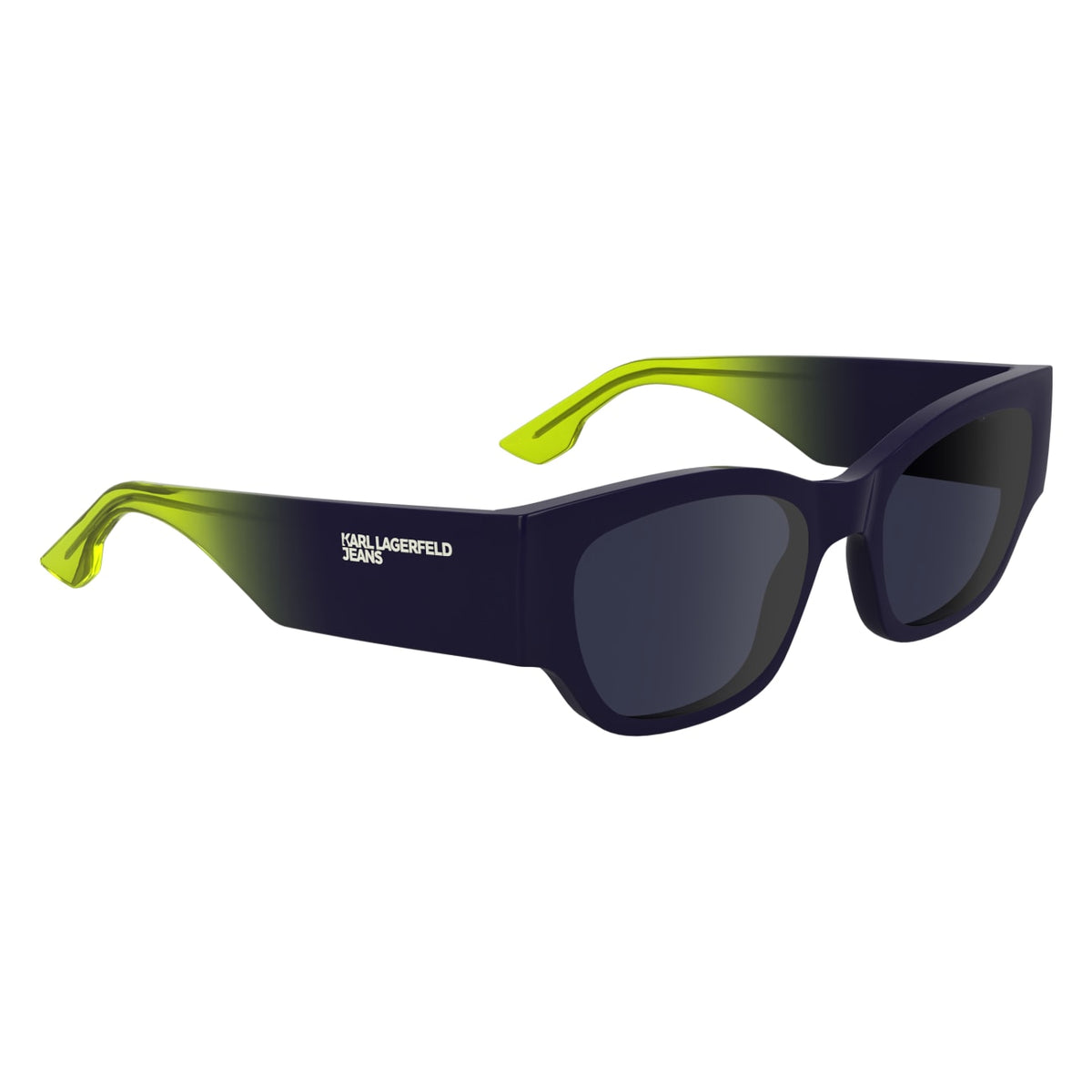Sunglasses Karl Lagerfeld KLJ6168S 501 52 19
