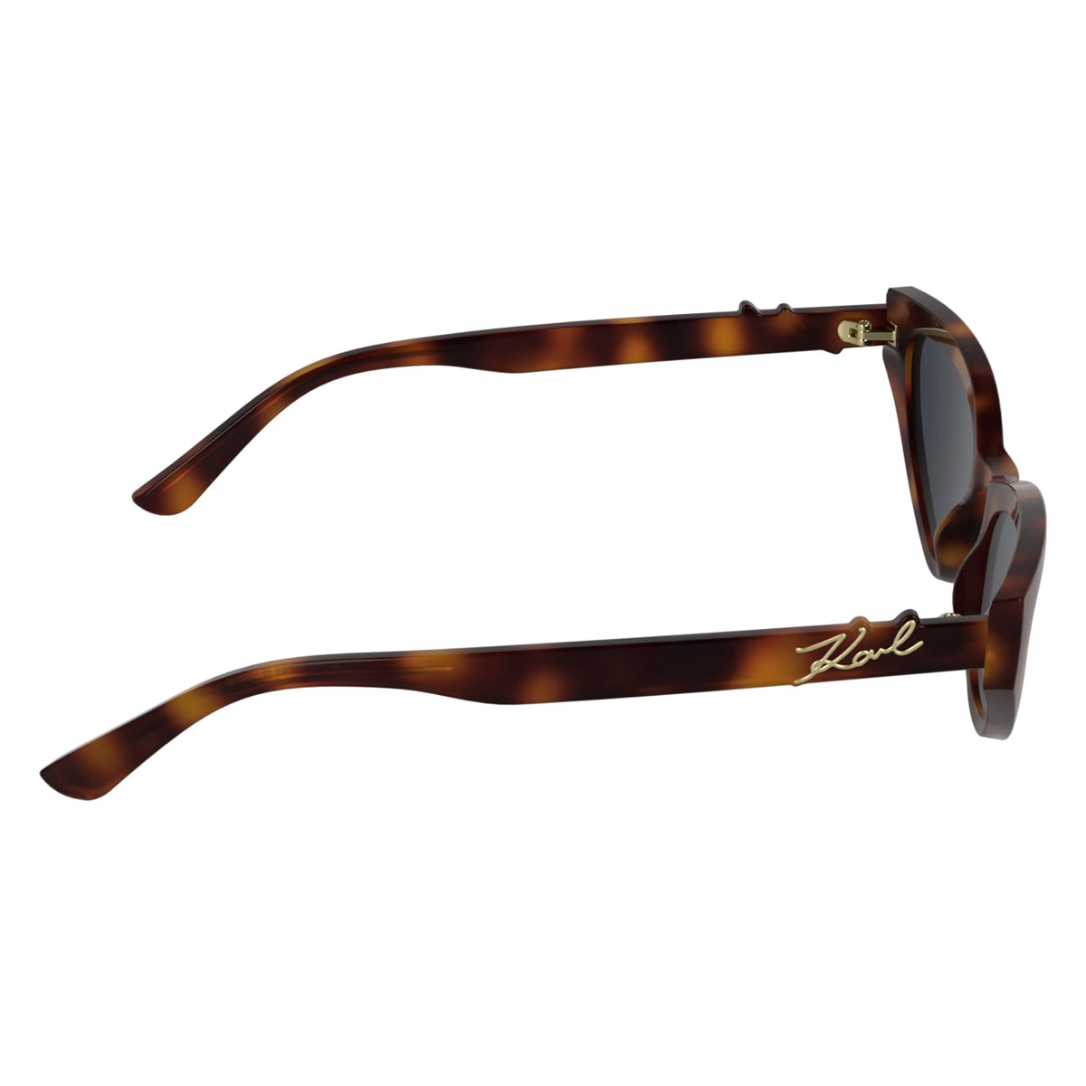 Gafas de Sol Karl Lagerfeld KL6248S 240 54 19