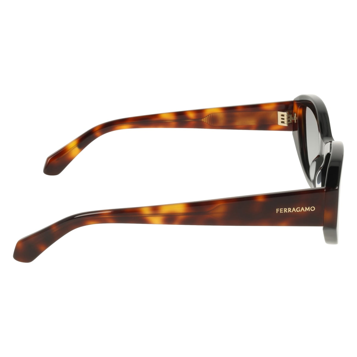 Gafas de Sol Ferragamo SF2104S 006 55 18