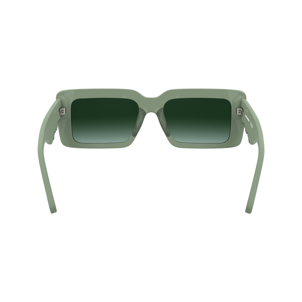 Gafas de Sol Karl Lagerfeld KL6180S 316 53 17