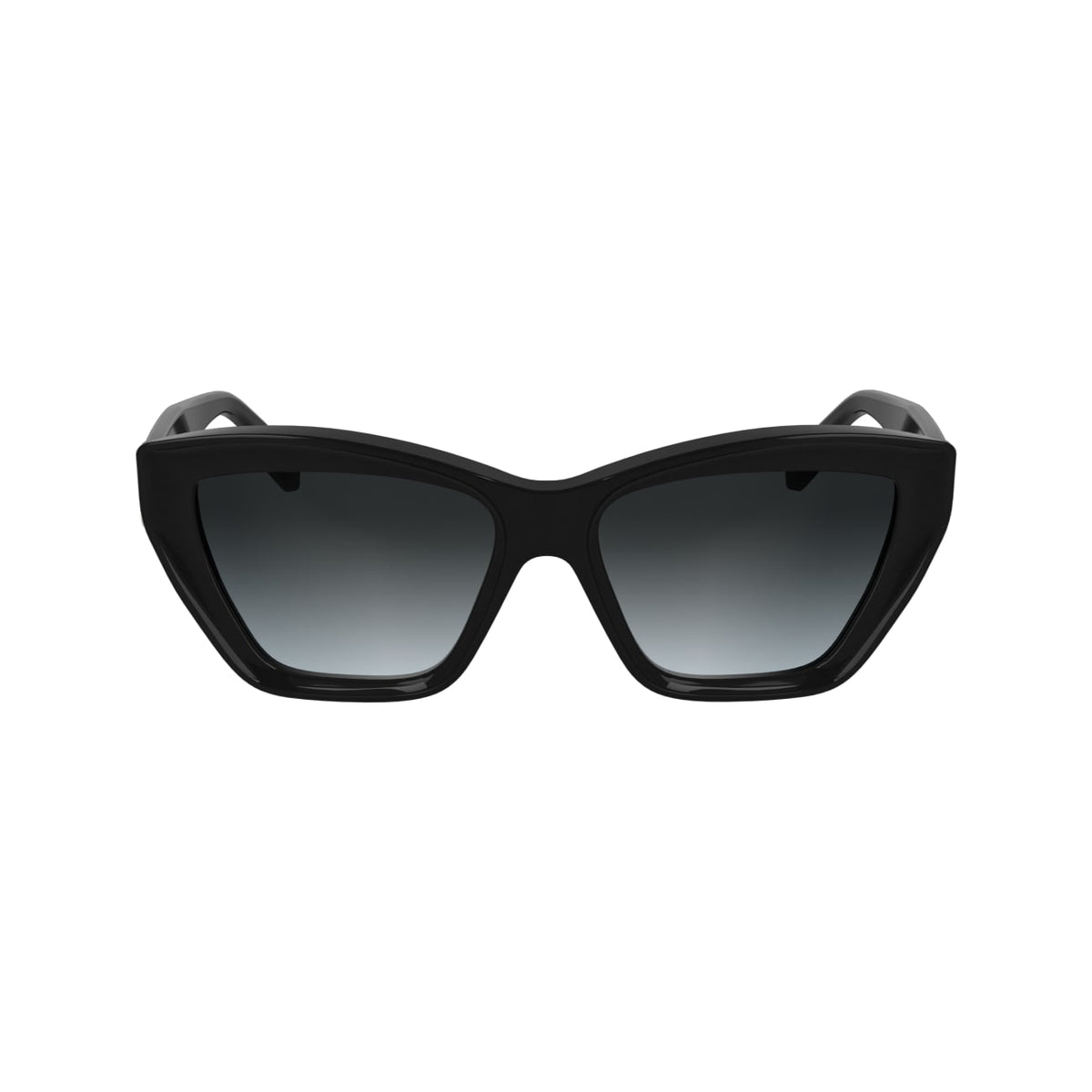 Gafas de Sol Karl Lagerfeld KL6179S 001 55 16