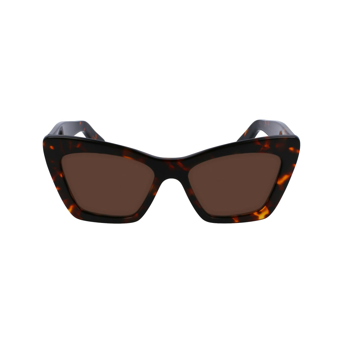 Sunglasses Ferragamo SF929SN 242 55 17