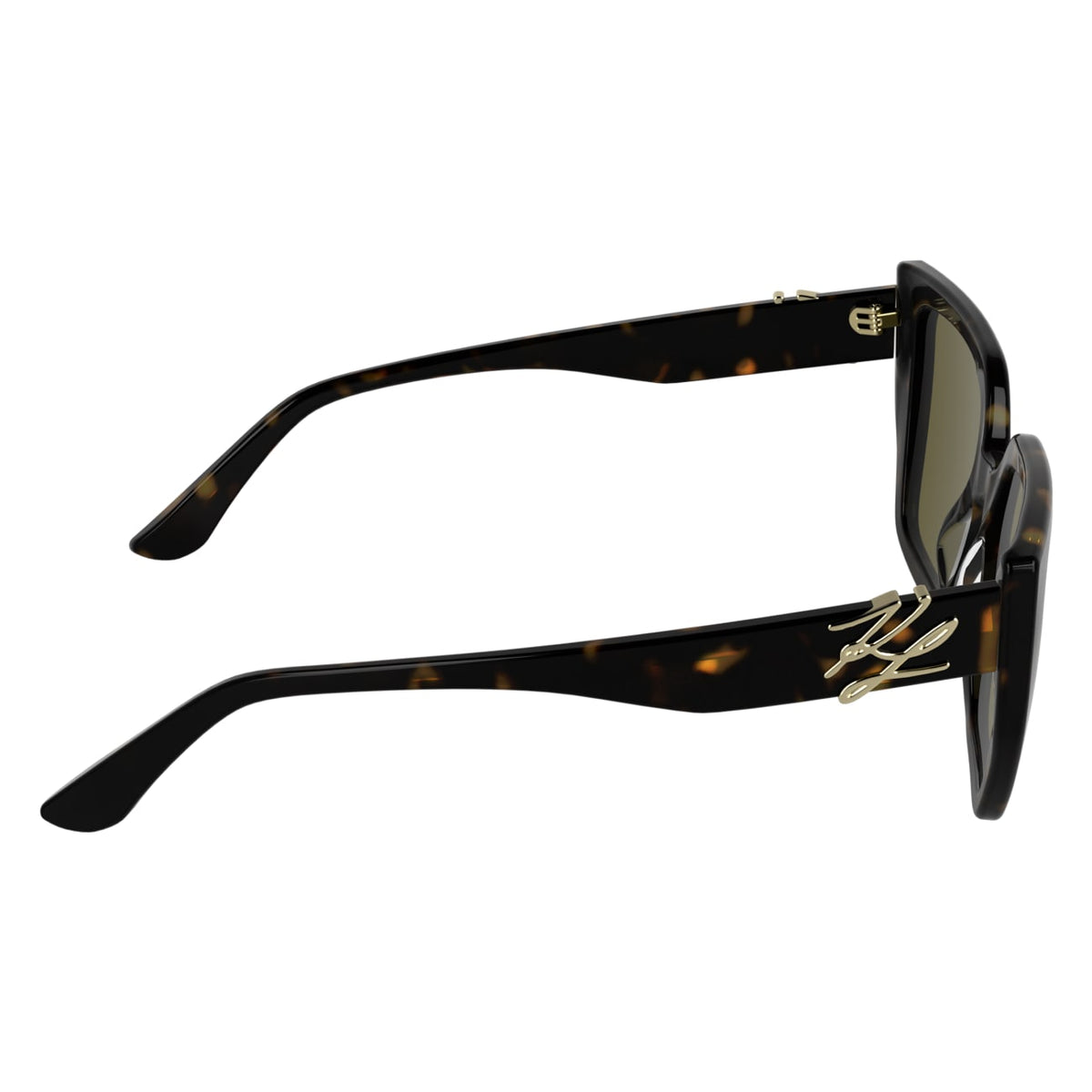 Gafas de Sol Karl Lagerfeld KL6221S 242 53 19