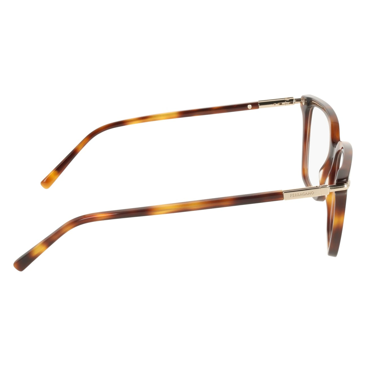 Gafas Graduadas Ferragamo SF3038 240 54 16