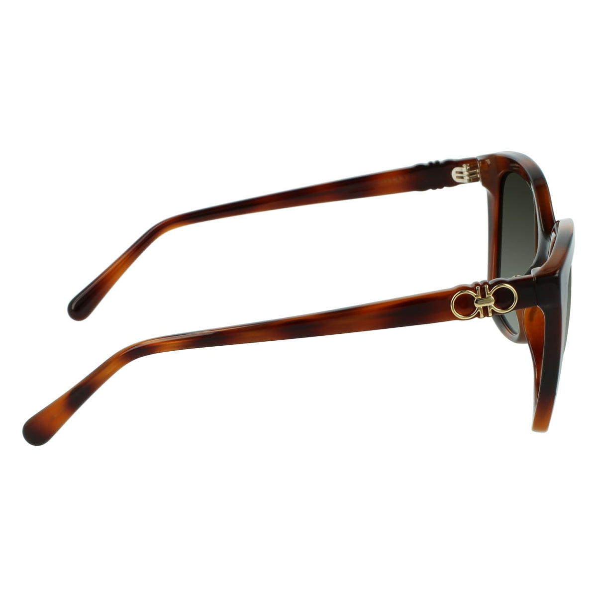 Gafas de Sol Ferragamo SF1026S 214 53.9 19