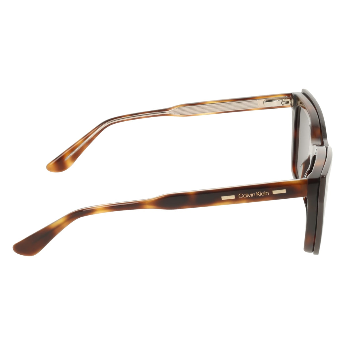 Prescription Glasses Calvin Klein (Ck) CK25531MAG-SET 242 53 18