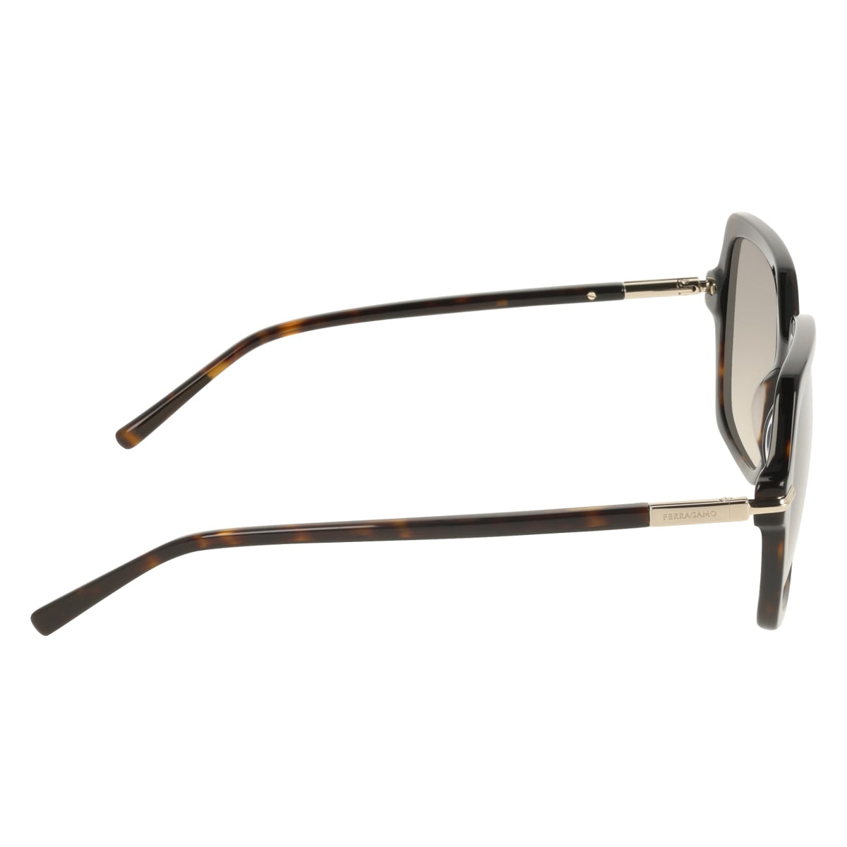 Gafas de Sol Ferragamo SF2076S 242 57 19