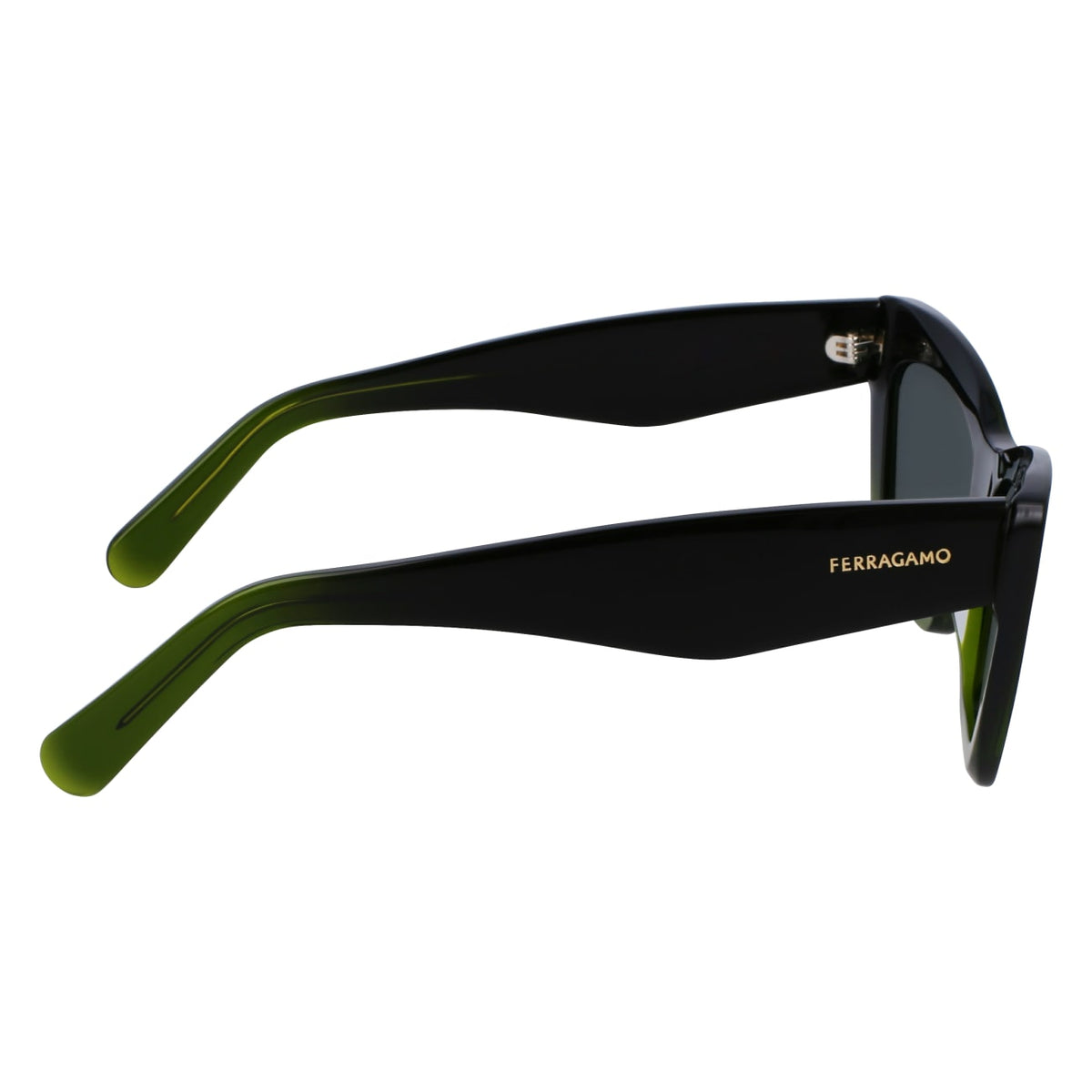 Sunglasses Ferragamo SF929SN 316 55 17