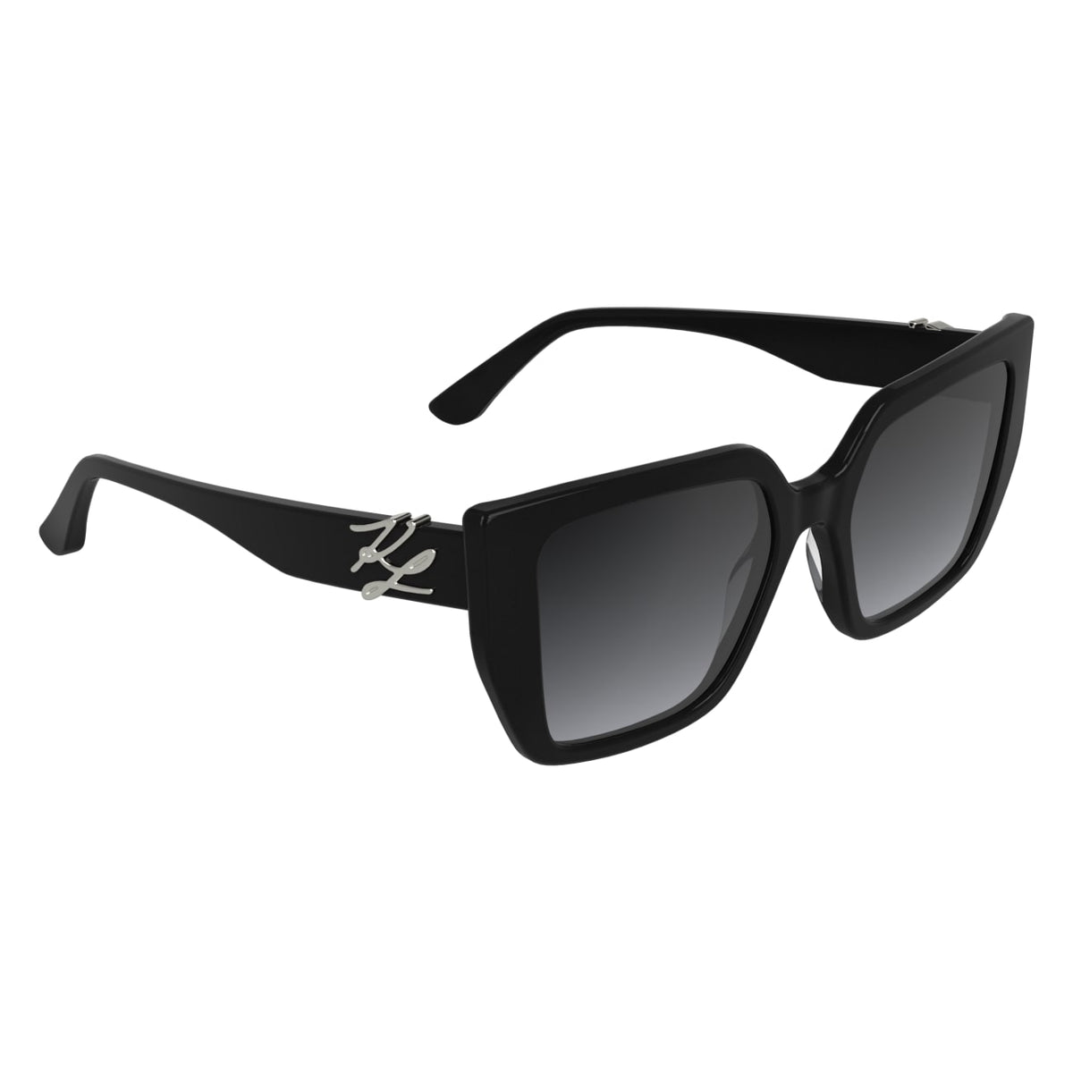 Gafas de Sol Karl Lagerfeld KL6221S 001 53 19