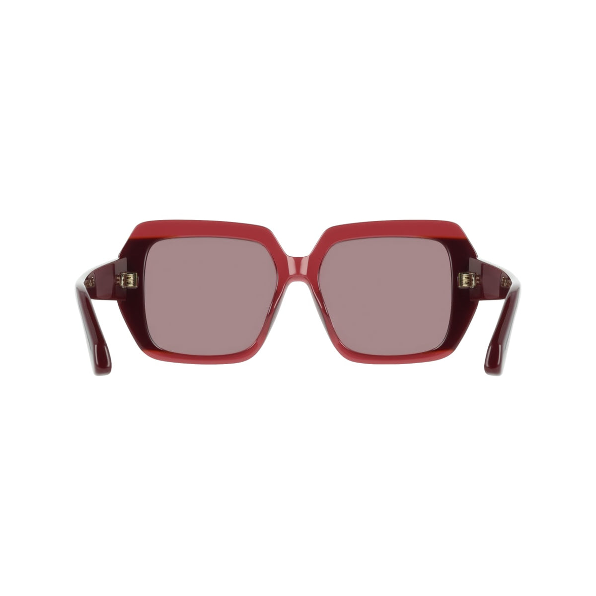 Gafas de Sol Ferragamo SF2081S 654 56 17