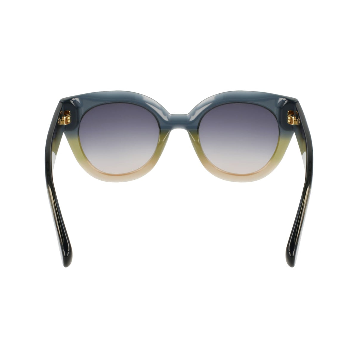 Sunglasses Longchamp LO750S 434 49 23