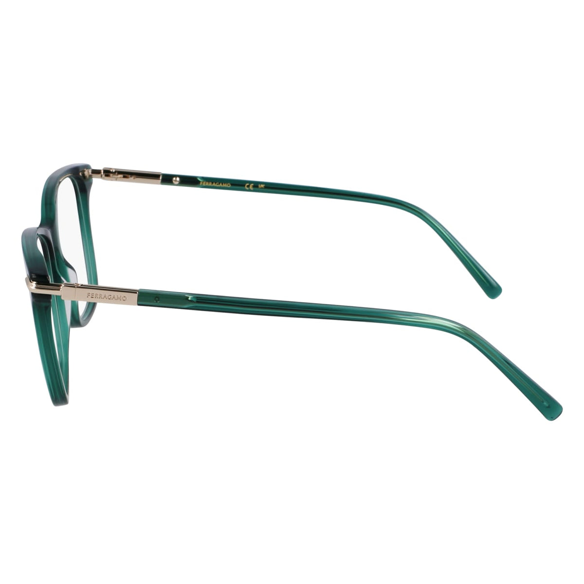 Prescription Glasses Ferragamo SF3013 317 55 15