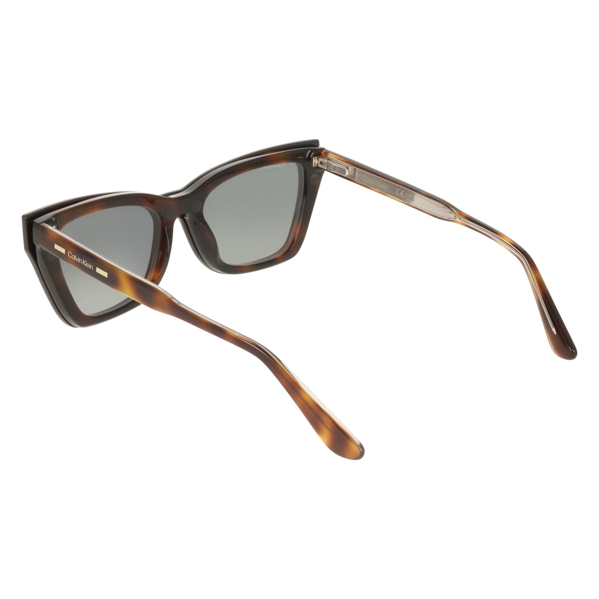 Prescription Glasses Calvin Klein (Ck) CK25531MAG-SET 242 53 18